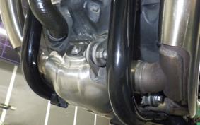TRIUMPH BONNEVILLE T100 2023