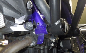 YAMAHA MT-25 2017 RG10J