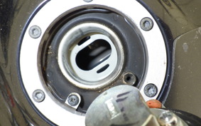 KAWASAKI NINJA 250 EX250L