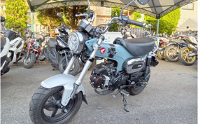 HONDA  DUX 125 JB04