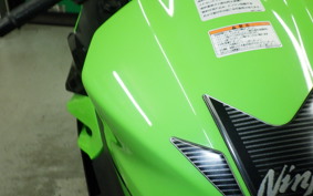 KAWASAKI NINJA 400 2018 EX400G