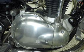 KAWASAKI W800 2021 EJ800B