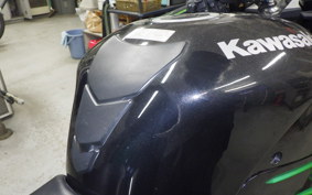 KAWASAKI ZX 1400 NINJA R A 2013