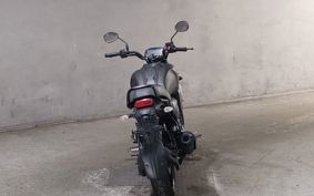 YAMAHA FZ-X RG73