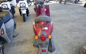 HONDA TODAY 1996 AF61