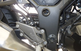 KAWASAKI NINJA 250 ABS 2021 EX250L