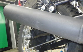 KAWASAKI 250TR 2021 BJ250F
