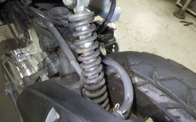 HONDA ZOOMER 2025 AF58