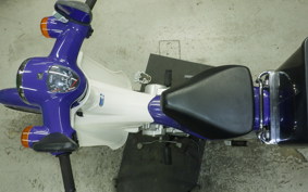 HONDA C110 SUPER CUB