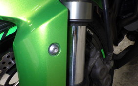 KAWASAKI NINJA 1000 2011
