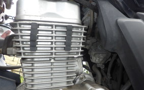 HONDA CBF 125