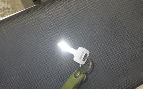 OTHER +UNREGISTERED MODEL by BDS TRIKE250 GW