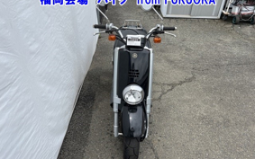 YAMAHA VOX