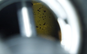 HONDA GYRO UP 2001 TA01