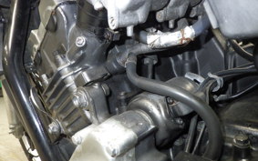 HONDA JADE 2024 MC23