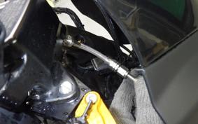 HONDA REBEL 1100 2024 SC83