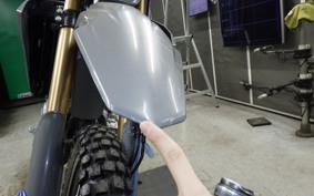 HONDA CRF250L 1999 MD47