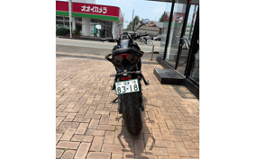 TRIUMPH TIGER SPORT 660 2025 L22U18