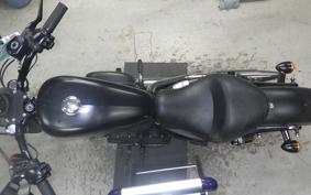 OTHER +HD. XL883N 2015
