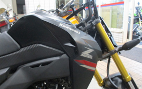 KAWASAKI Z125 PRO BR125H