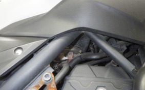 YAMAHA MT-25 2024 RG43J