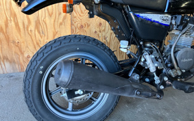 HONDA APE 50 TYPE D AC18