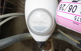 HONDA NOVIO PM50
