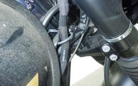 KAWASAKI W800 CAFE 2022 EJ800E