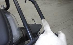 HUSQVARNA SVARTPILEN 401 2022