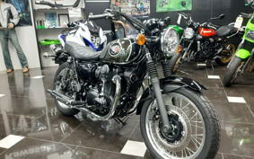 KAWASAKI W800 STREET 2022 EJ800E