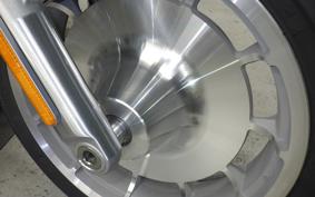 HARLEY FLSTFI1920 2025