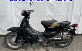 OTHER  LITTLE CUB -E FI