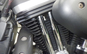 HARLEY XL883N 2019