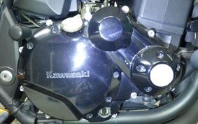 KAWASAKI ZRX1200 D 2013 ZRT20D
