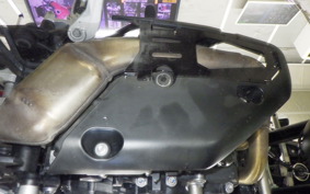 TRIUMPH TIGER 900 GT PRO 2024