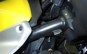 DUCATI SCRAMBLER ICON 2025