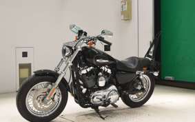 OTHER +HD. XL1200C-I 2011