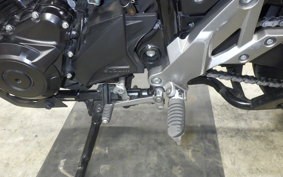 SUZUKI V-STROM 250