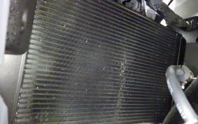 YAMAHA XSR900 GP 2024 RN96J