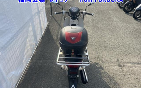 OTHER C110PU LOW 2