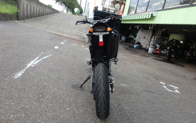 YAMAHA WR250X DG15J