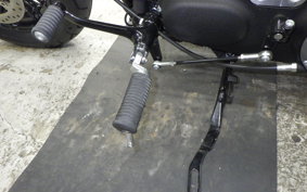 HARLEY XL1200X 2019