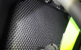 KAWASAKI ZX-4RR 2023 ZX400P