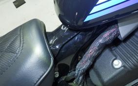 HARLEY XL1200NS 2019