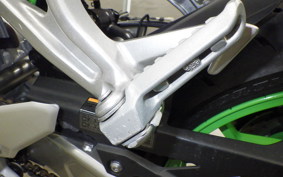 KAWASAKI ZX-4RR 2024 ZX400P