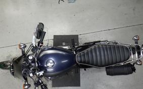 KAWASAKI W800 2023 EJ800E