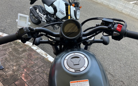 HONDA  REBEL 250 ABS MC49