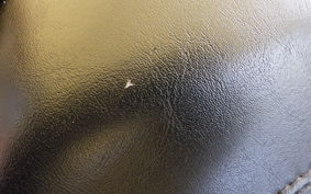 HARLEY FXDL 1580 2007