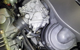 HONDA HORNET 250 2017 MC31