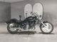 Фото Kawasaki ELIMINATOR 250V с японского аукциона